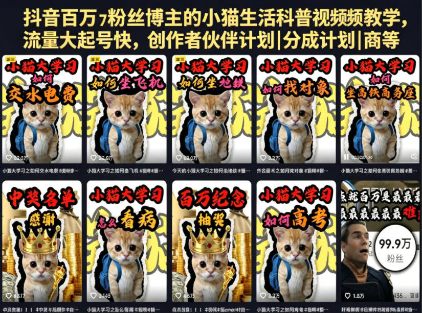 抖音百万粉丝博主的小猫生活科普视频教学，流量大起号快，创作者伙伴计划|分成计划|商单|收徒等 - 91副业网-91副业网