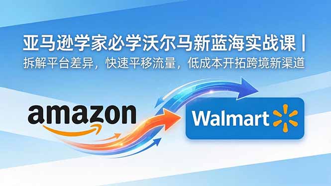亚马逊卖家必学沃尔玛新蓝海实战课｜拆解平台差异，快速平移流量，低成本开拓跨境新渠道-91副业网