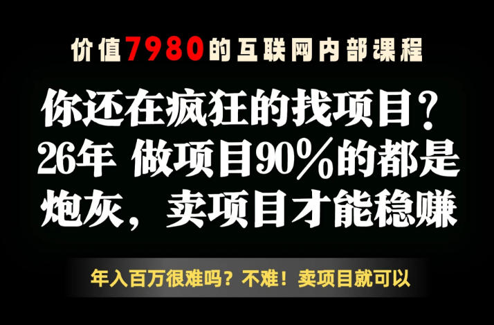 26年请不要疯狂的找项目了，卖项目远比你想象的暴利，你也可以月入10W+【揭秘】 - 91副业网-91副业网