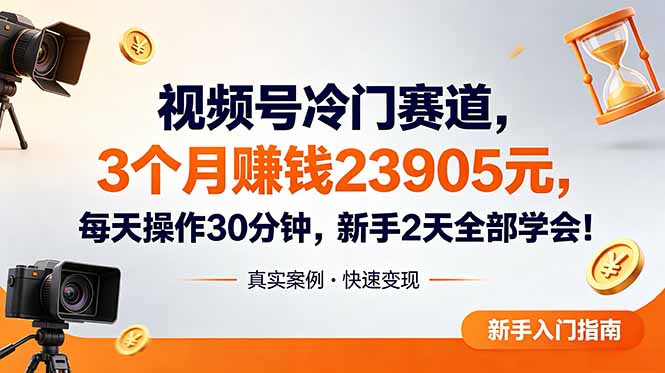 视频号冷门赛道，3个月变现23905元，新手2天学会 每天操作30分钟！-91副业网