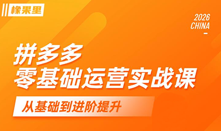 仙道电商·拼多多零基础运营实战课-91副业网