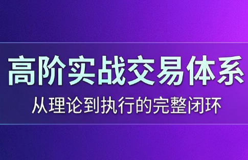 高老师·高阶实战交易体系(更新6月)-91副业网