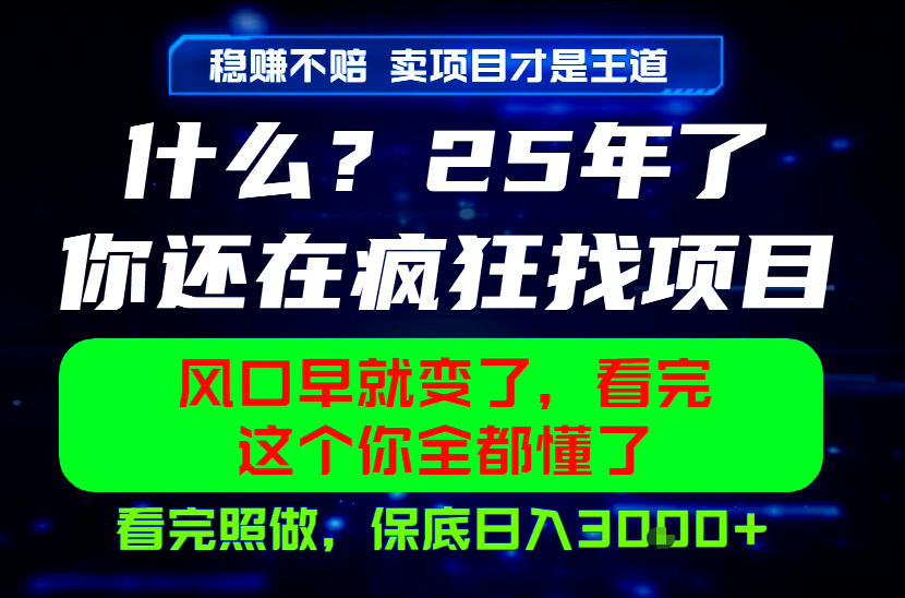 26年，请不要疯狂的找项目做了！卖项目才是真的稳賺不赔，看完照做，保底日入1k+【揭秘】-91副业网