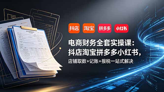 电商财务全套实操课：抖店淘宝拼多多小红书，店铺取数+记账+报税一站式解决-91副业网