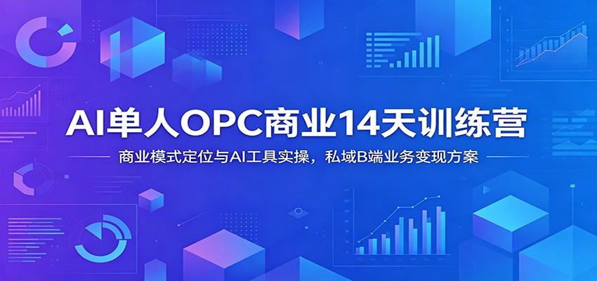 AI单人OPC商业14天训练营：商业模式定位与AI工具实操，私域B端业务变现方案-91副业网