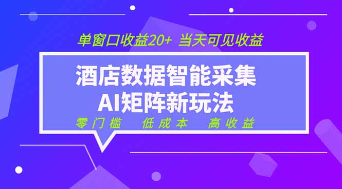 2026酒店数据采集ai智能矩阵新风口  低成本   高收益   当天见收益   单窗口20+-91副业网