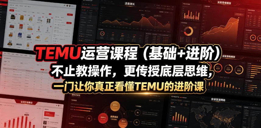 TEMU运营课程(基础+进阶)，不止教操作，更传授底层思维，一门让你真正看懂TEMU的进阶课-91副业网