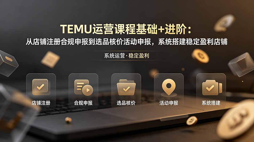 TEMU运营课程(基础+进阶-91副业网
