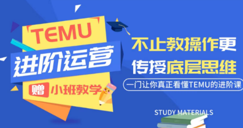 阿卡林·TEMU运营课程(基础+进阶)-91副业网