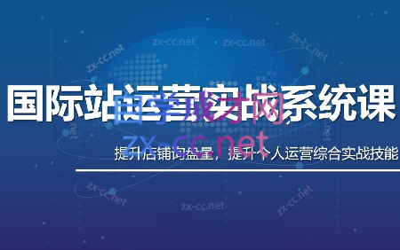 白老师·国际站运营实战系统(高质量询盘增长课)(更新)-91副业网