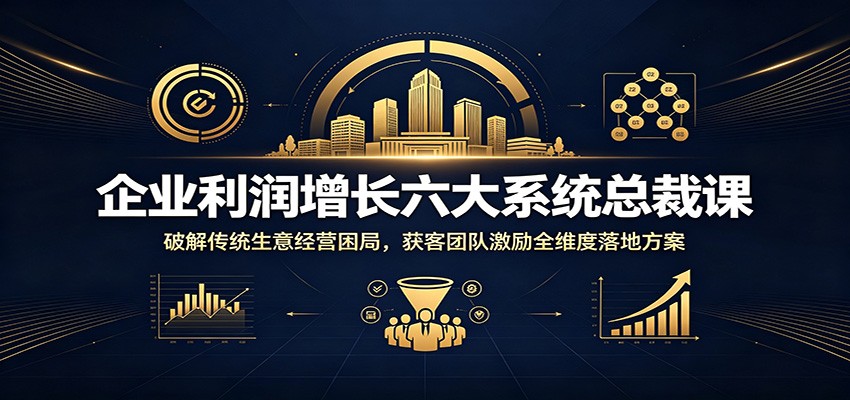 企业利润增长六大系统总裁课:破解传统生意经营困局,获客团队激励全维度落地方案-91副业网
