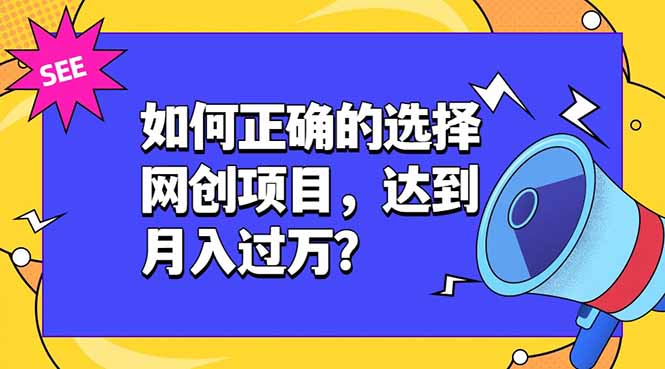 如何正确的选择网创项目，达到月入过万？，本课程教你正确选择项目。-91副业网