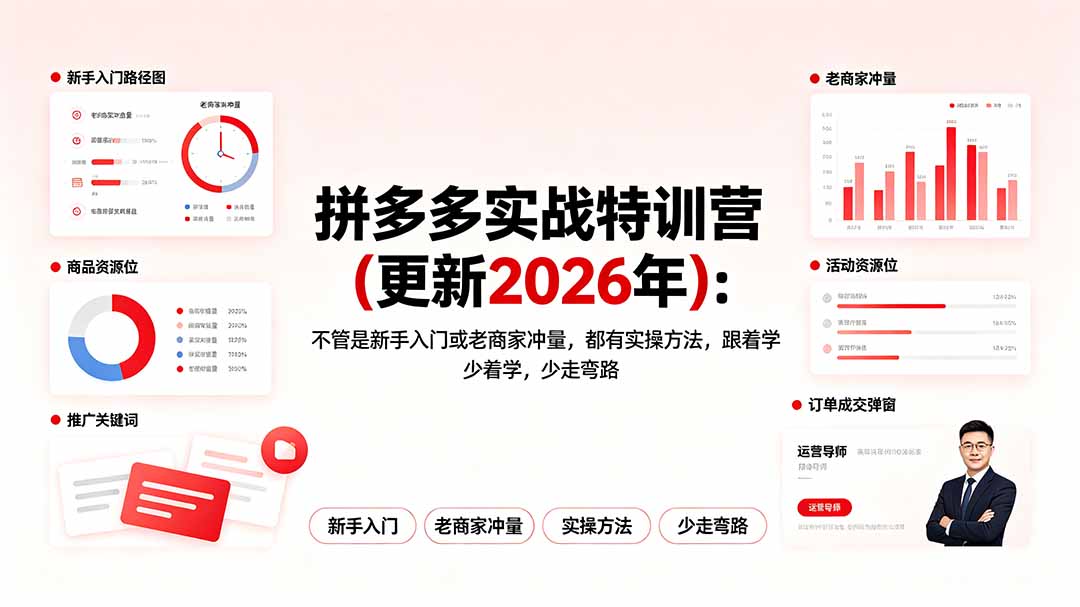 拼多多实战特训营(更新2026年-91副业网