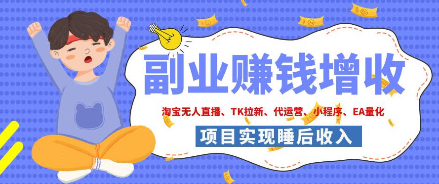 2026年多个真实落地副业项目，手把手带你搭建被动收入管道(淘宝无人直播、海外TK拉新、CSGO饰品交易、去水印小程序等)【揭秘】-91副业网
