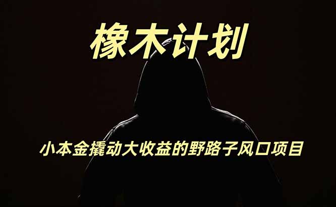 橡木计划，小投入撬动高回报的风口野路子项目，一天投入2小时左右-91副业网
