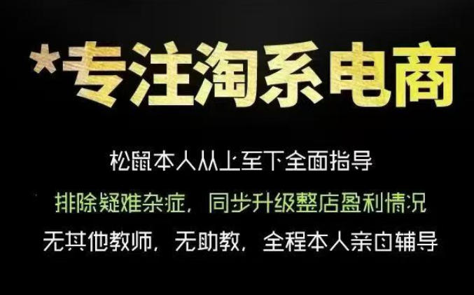 松鼠会电商VIP课程,从基础布局到高阶优化,助你掌握淘宝运营逻辑,提升店铺流量与转化(更新0809)-91副业网