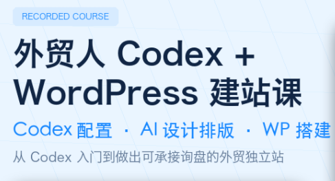 大卫·外贸人Codex + WordPress建站课(更新8月)-91副业网