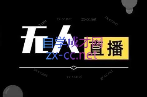 宝子哥·无人直播-非实时防风技术(更新8月)-91副业网