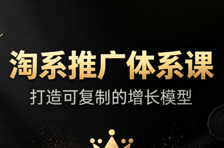 大山·淘系推广体系课-91副业网