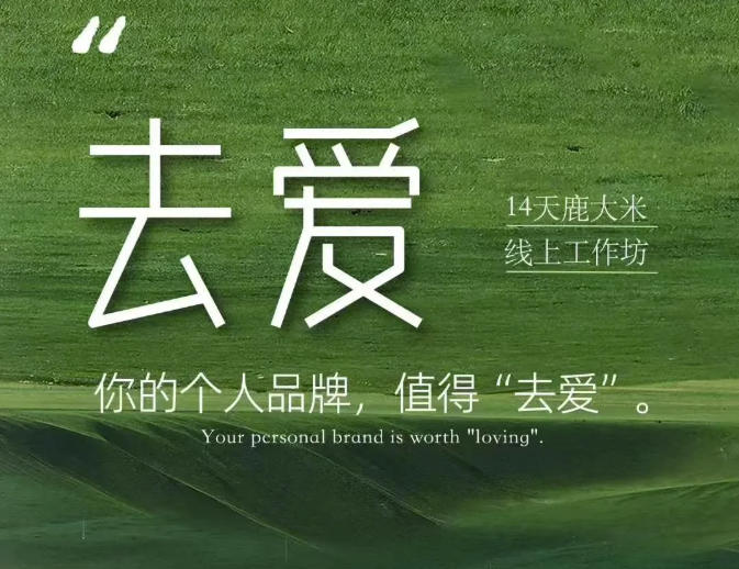 去爱14天鹿大米线上工作坊，你的个人品牌，值得“去爱”-91副业网