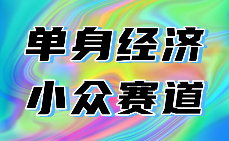 最适合普通人的项目，拿出执行力每天800-1k+，全程可落地，普通人随时入局【揭秘】-91副业网