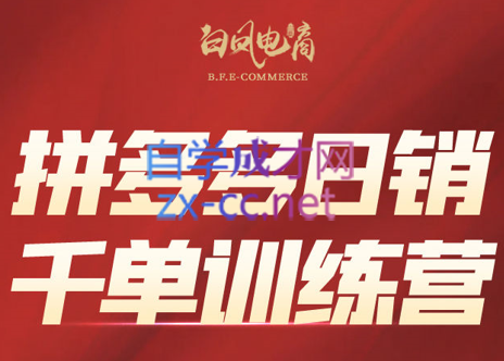 白凤电商·拼多多日销千单训练营(更新9月)-91副业网