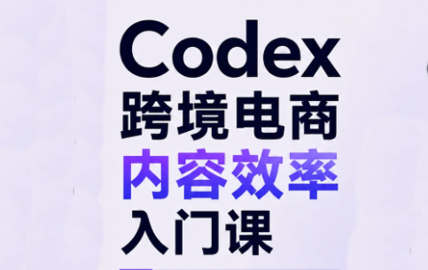 Codex跨境电商内容效率入门课-91副业网