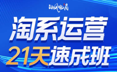 白凤电商·淘系运营21天速成班(更新9月)-91副业网