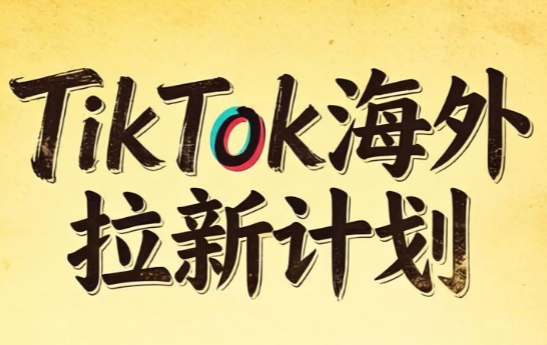 Tc联盟·TikTok海外拉新项目(更新9月)-91副业网