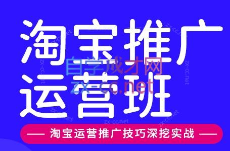 美迪电商·淘宝高级运营班+推广运营班(更新9月)-91副业网