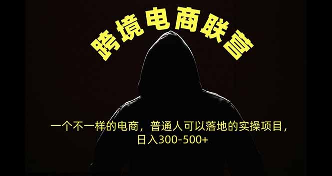 跨境电商联营，一个不一样的电商，普通人可操作日入300-500+-91副业网