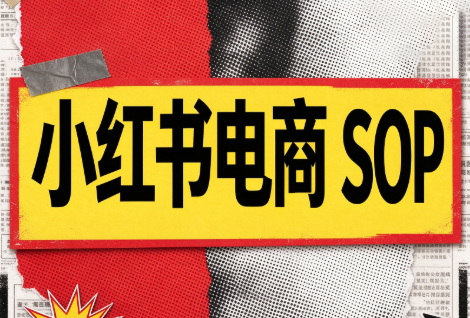 书豪必胜小红书电商sop(更新9月)-91副业网
