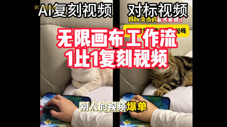 宠物带货视频复刻，无限画布工作流1比1，不用拍摄、不用布景、不用真人出镜，几分钟就能做出一条专业带货视频-91副业网