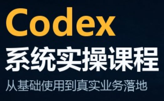 codex系统实操课程(更新10月)-91副业网
