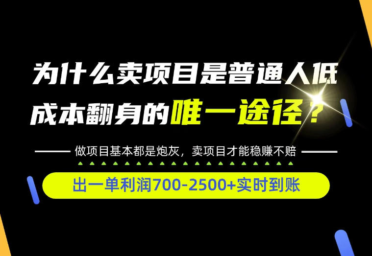 普通人如何靠互联网賺取自己的第一桶金！全类目实操型教学，看完你全都懂了！【揭秘】-91副业网