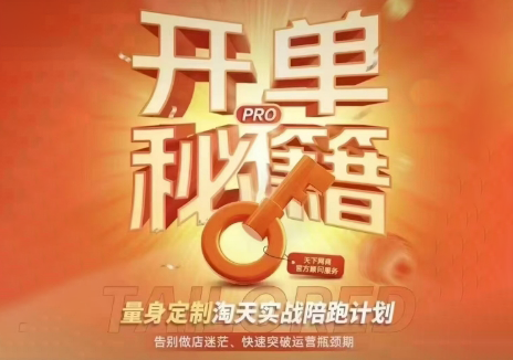天下网商·淘宝天猫陪跑计划(更新10月)-91副业网
