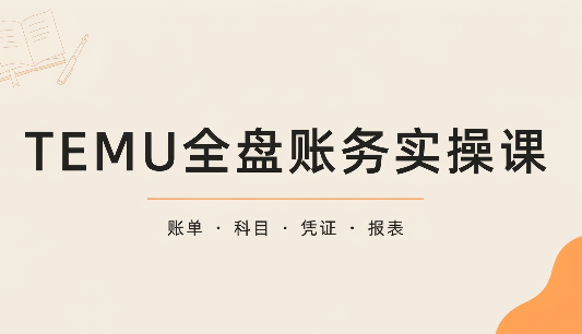 TEMU全盘账务实操课：账单导出、科目设置、利润核算-91副业网