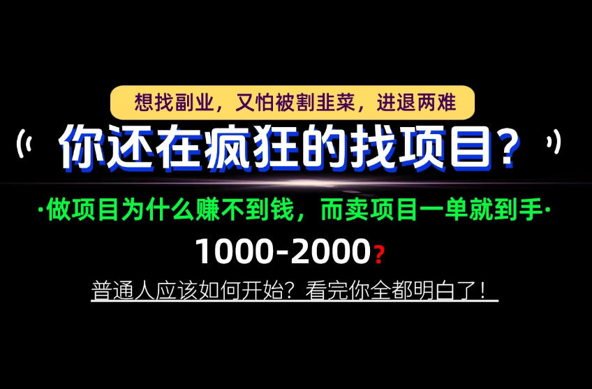 你还在疯狂的找项目？别傻了！卖项目才是真正的一本万利！怎么做，看完你全都明白！【揭秘】-91副业网