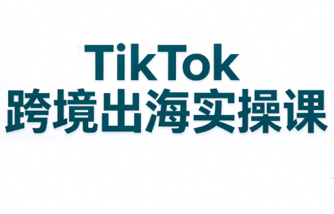 彭老师·TikTok跨境出海实操课-91副业网