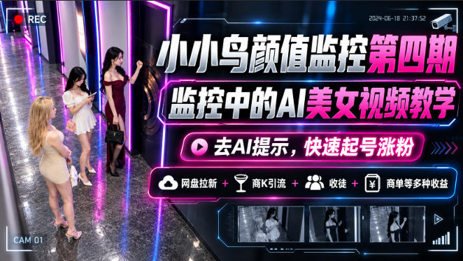 小小鸟颜值监控第四期,监控中的AI美女视频教学,去AI提示,快速起号涨粉,网盘拉新+商K引流+收徒+商单等多种收益-91副业网